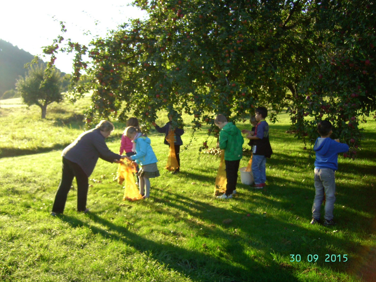PICT1093.JPG