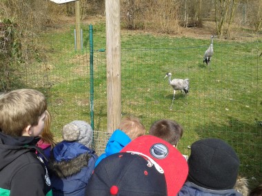 20150323_101319__Andere_.jpg